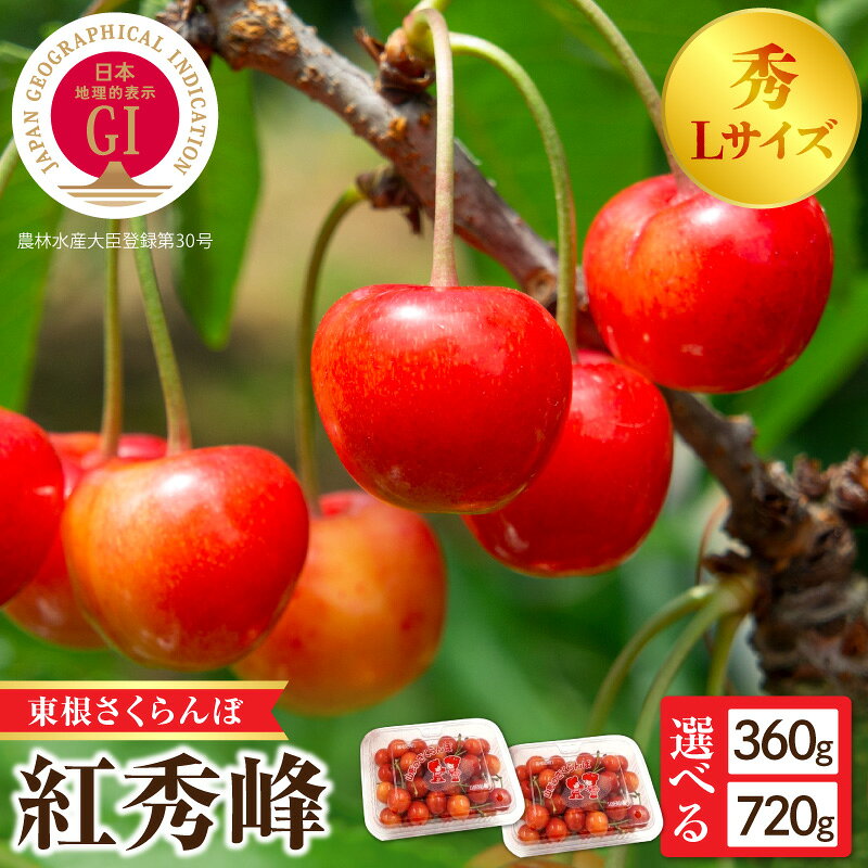 【ふるさと納税】【 2027年産 先行受付 】 GI 東根さくらんぼ 紅秀峰 秀L以上 ( 選べる内容量 : 180g×2 ( 計 360g ) / 180g×4 ( 計720g ))| さくらんぼ サクランボ フルーツ くだもの 果物 期間限定 ご当地 特産 産地 直送 人気 冷蔵 送料無料 山形県 東根市