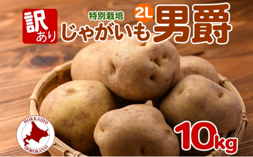 [№5795-0380]＜2025年秋以降出荷＞北海道 訳あり 特別栽培 じゃがいも 男爵 2L 約10kg ジャガイモ 馬鈴薯 芋 野菜 根菜 旬 冬野菜 北海道産 国産 生 ポテト 甘い ホクホク 農作物 訳アリ 規格外 20キロ お取り寄せ 産地直送 食材 
