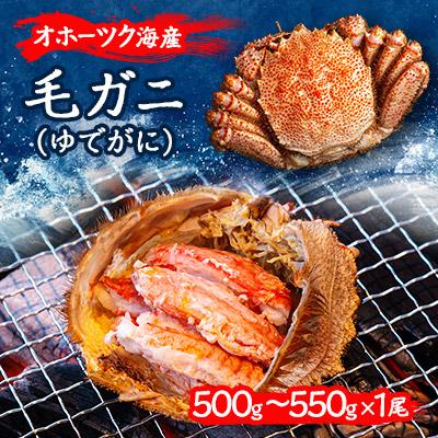 ふるさと納税 美幌町 オホーツクの毛ガニ　[500g〜550g×1尾]