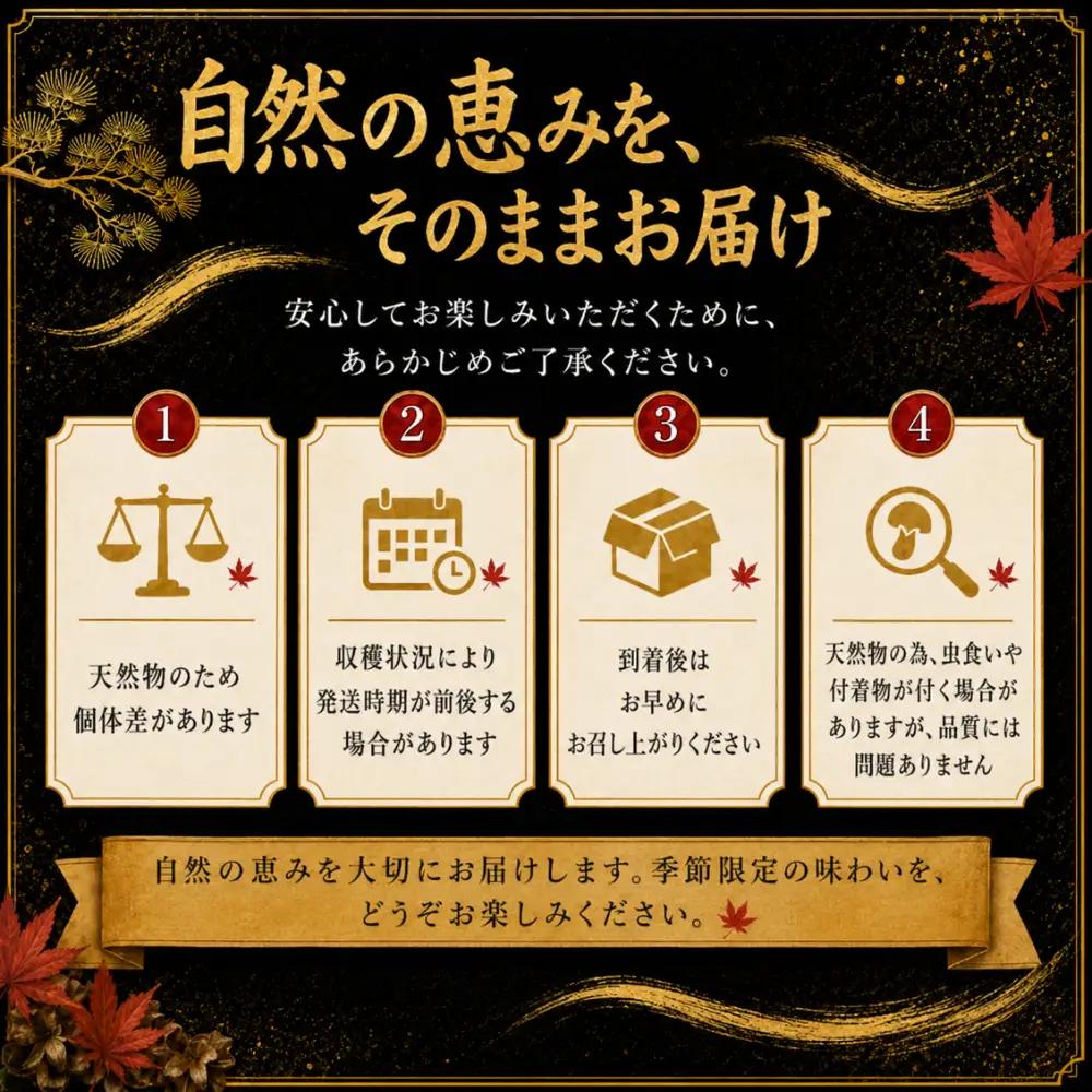 【先行予約】松茸 500g 岩手町産 天然 松茸