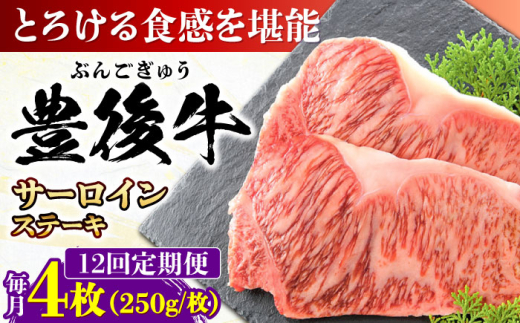 【全12回定期便】おおいた豊後牛 サーロインステーキ 1kg (250g×4枚) 日田市 / 株式会社MEAT PLUS　肉 牛肉 和牛 [AREI061]