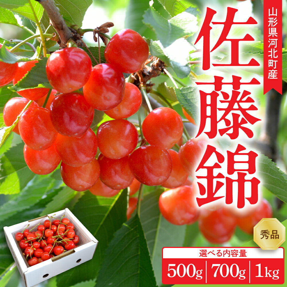 【ふるさと納税】 令和7年産 さくらんぼ 佐藤錦 ( 内容量が選べる: 500g / 700g / 1kg ) L玉以上 秀品 ギフト箱入 | 山形県産 フルーツ くだもの 果物 サクランボ 化粧箱 贈り物 ギフト 贈答 産地直送 山形県 河北町