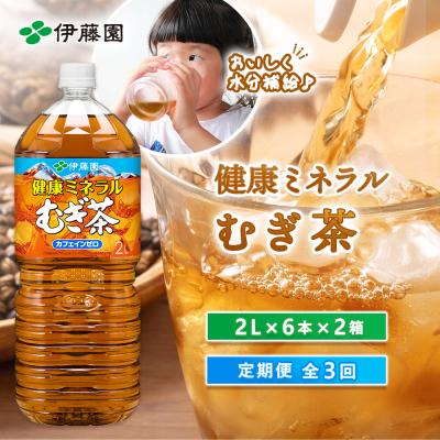 ふるさと納税 恵庭市 『定期便:全3回』健康ミネラル麦茶2L×6本×2箱【50000501】