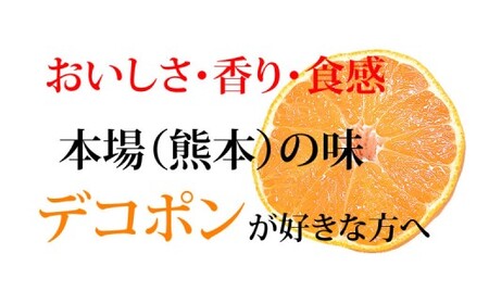 デコポン I12光センサー選果 約2kg （5～10玉） 【2025年12月上旬から2026年5月下旬発送予定】 でこぽん 蜜柑 みかん 果物 果実 フルーツ 熊本県 熊本市 常温