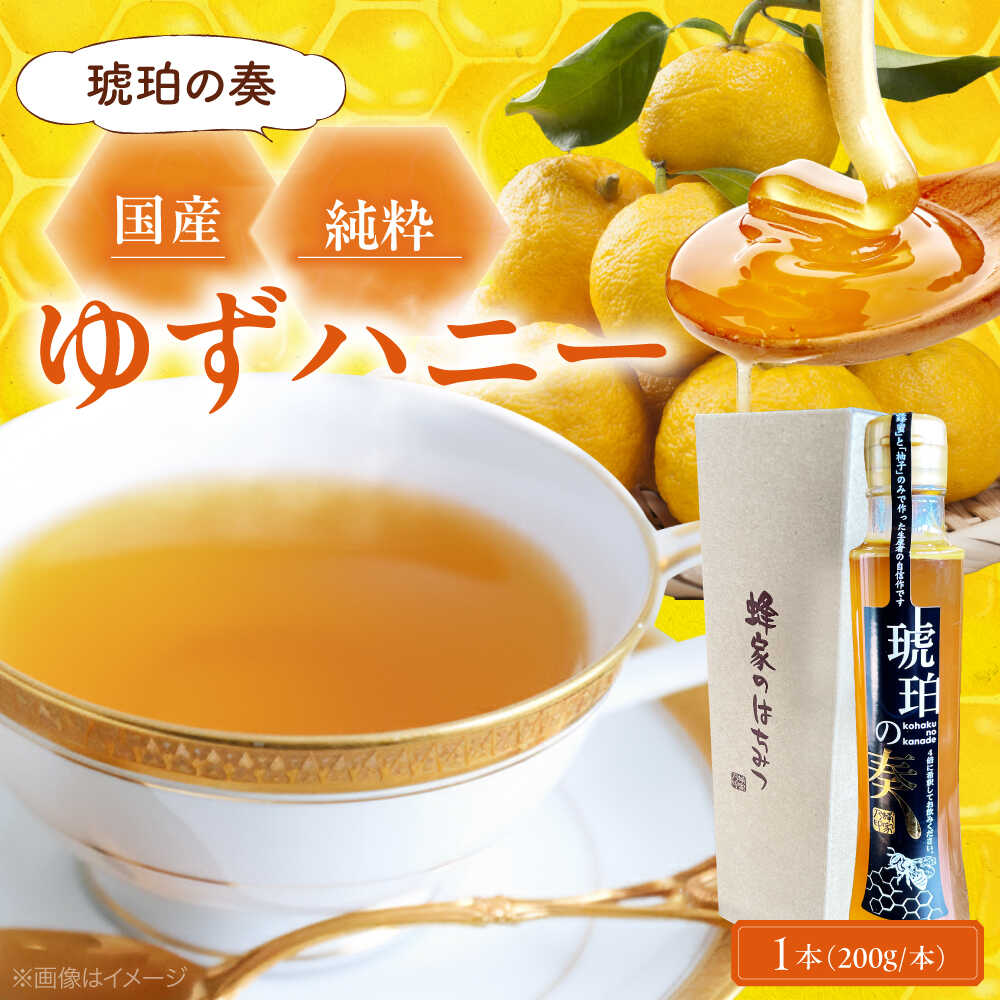 【ふるさと納税】 はちみつ 琥珀の奏 ゆずハニー シロップ 200ml×1本 ゆずはちみつ 柚子 蜂蜜 ユズ ハチミツ 国産 純粋 はちみつ 広島県産 多田錦 とち蜜 ゆず茶 健康 飲料 割材 調味料 贈答 ホワイトデー 誕生日 人気 おすすめ 三次市 / Beemonte [APCB005]