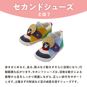 ダブルＢ　セカンドベビーシューズ（アフロベア・14.5cm）_ミキハウス ダブルB セカンドシューズ アフロベア サイズ 14.5cm BOX 付 2E 設計 キャンバス 素材 足 保護 正しい歩行 