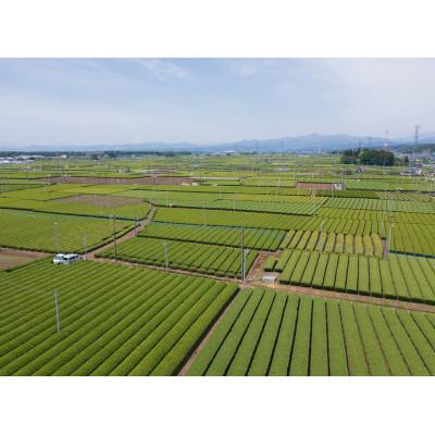 ふるさと納税 入間市 一煎パック入り 狭山茶ティーバッグ「霞川 煎茶」 |  | 02