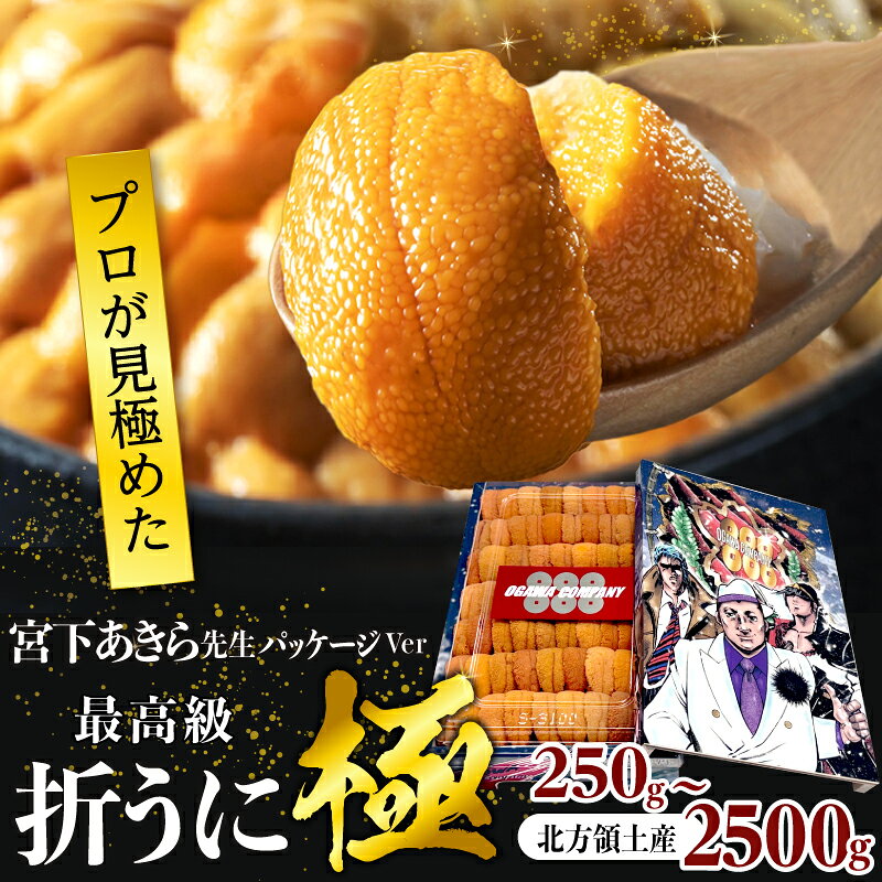 【ふるさと納税】【内容量が選べる】 ≪プロ厳選≫ 最高級 折うに (極) 宮下あきら先生 パッケージVer 250g ～ 2500g 生うに 天然 バフンウニ 新鮮 食品 刺身 うに丼 海鮮 海産物 魚介 人気 おすすめ おつまみ 寿司 パスタ 軍艦 ギフト 贈り物 北海道 浜中町