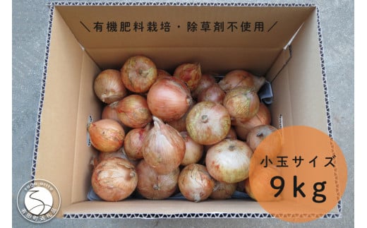 【小玉サイズたまねぎ約9キロ】有機肥料栽培・除草剤不使用 輝ファーマーズ たまねぎ 小ぶり お料理 F15-28