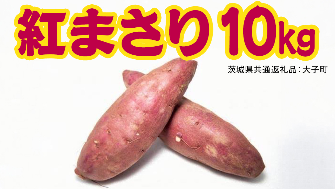 紅まさり 10kg 【 2026年12月上旬発送開始 】 ( 茨城県共通返礼品：大子町 ) さつまいも 焼き芋 しっとり なめらか 冷やし焼き芋 甘い 新芋 希少品種 農家直送 産地直送 [FC204us]