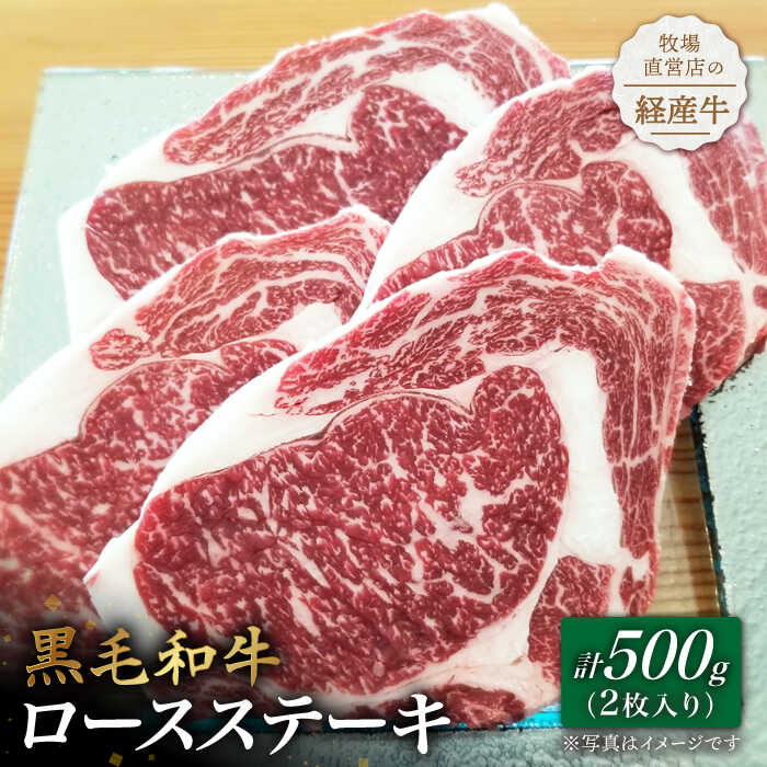 【ふるさと納税】【贅沢な味わい】牧場直営店の黒毛和牛 ロースステーキ 500g（2枚入り）【川崎畜産】和牛 国産牛 黒毛和牛 ハンバーグ 経産牛 お肉 肉 牛肉 冷凍 和牛 ステーキ 佐賀県 白石町 [IAX014]