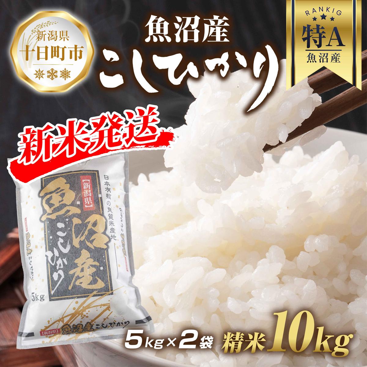 【ふるさと納税】【令和7年産 新米予約】 魚沼産 コシヒカリ 5kg × 2袋 計10kg 新米 農家のこだわり 新潟県 十日町市 お米 こめ 白米 コメ 食品 人気 おすすめ 送料無料 精米 ご飯 ブランド米 銘柄米 　お届け：2025年9月中旬より順次発送