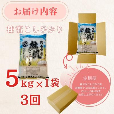 ふるさと納税 伊豆市 定期便(全3回)修善寺桂流こしひかり5kg【 コシヒカリ 白米 お米 精米 国産 米 ごはん 特別 |  | 03