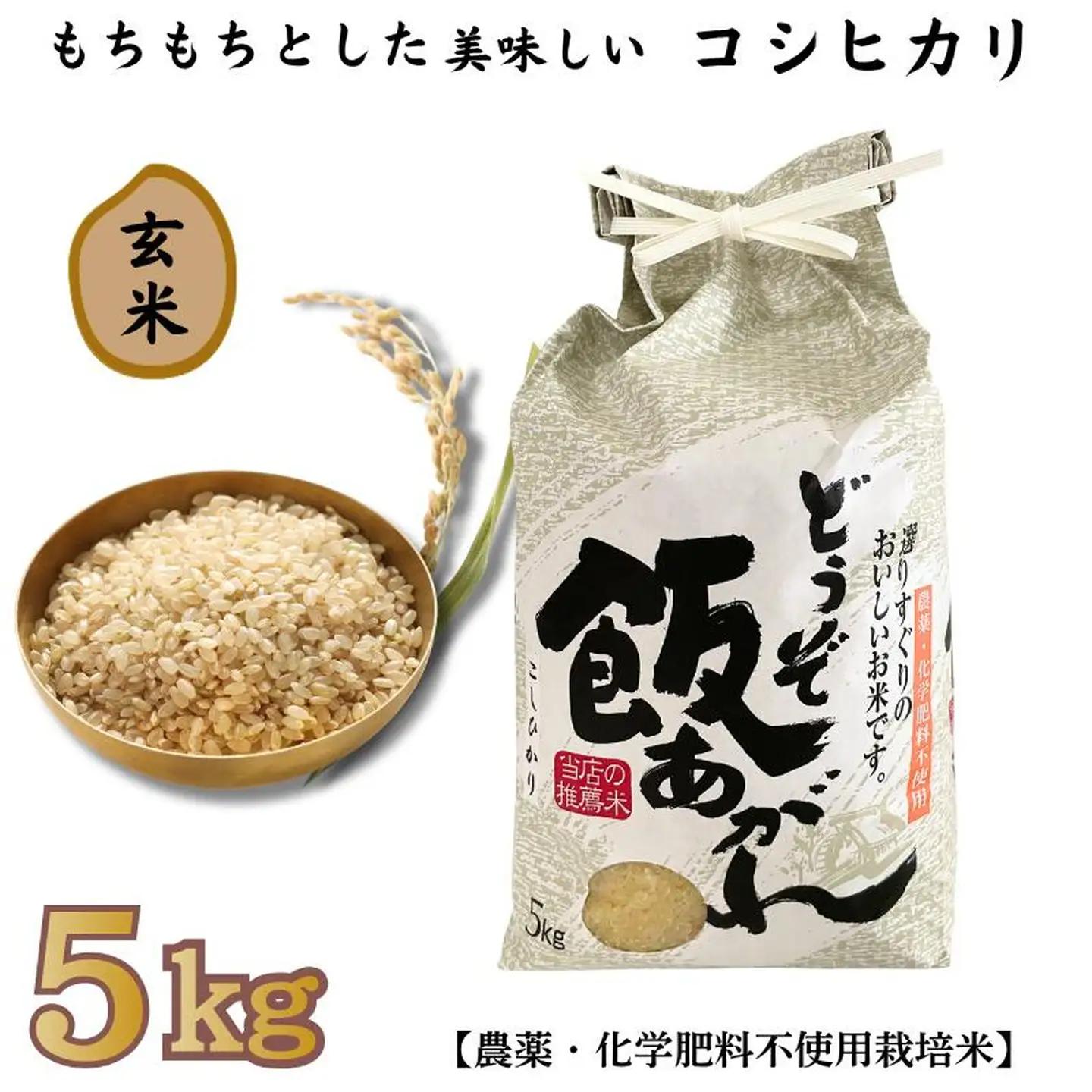 もちもちとした美味しい コシヒカリ 玄米 5kg【農薬・化学肥料不使用栽培米】：B230-021