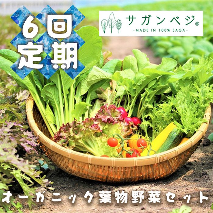 CQ036_【定期便】オーガニック葉物野菜セット【植物性で育てた完全無農薬の葉野菜ブランド有機JAS】 6回定期便