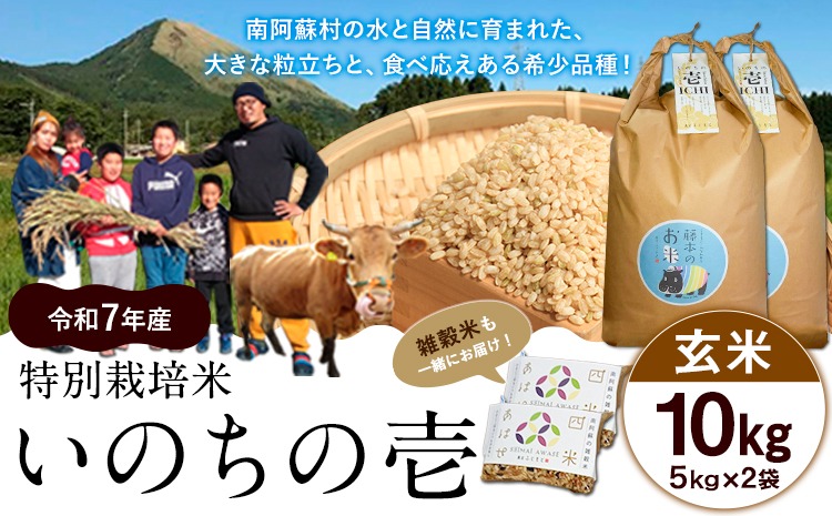 新米 令和7年産 特別栽培米 いのちの壱(玄米) 10kg 5kg×2 雑穀米付き《10月中旬-11月下旬頃出荷》 熊本県 南阿蘇村 熊本県産 虹色のかば 雑穀米---sms_inci6_k1011_r7_30000_g10kg2---