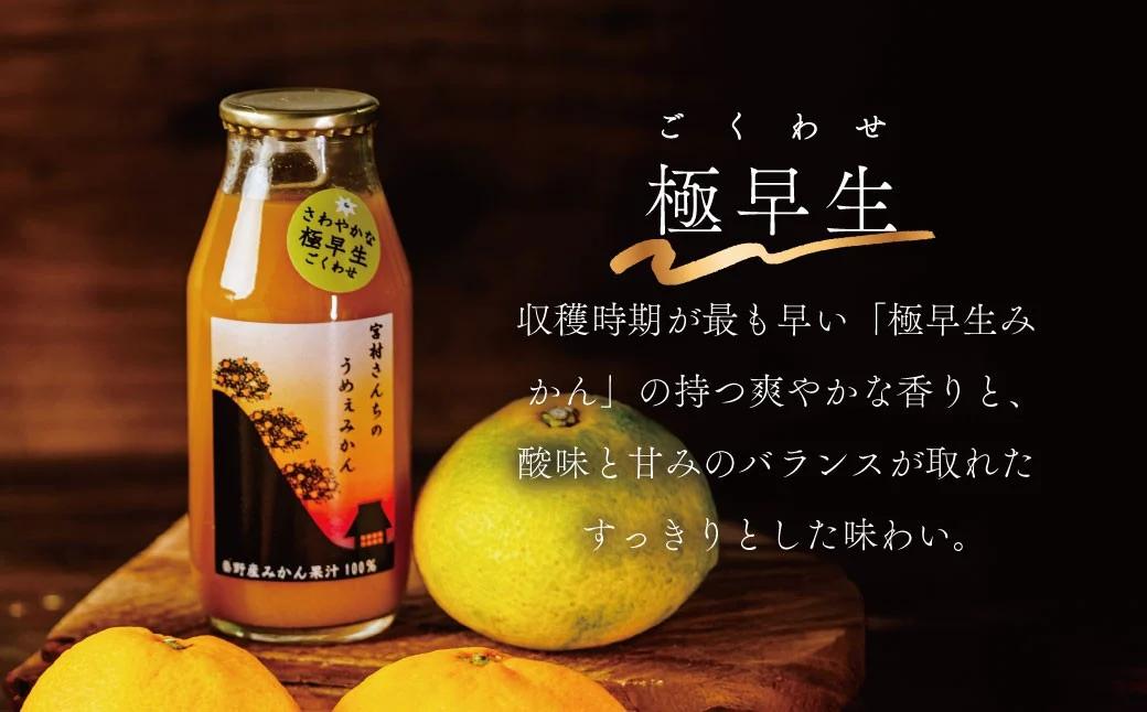 秦野産 みかん 100% ストレート ジュース （3本）／ おまかせ 農家 こだわり セット 果物 みかん みかんジュース デザート 果汁100％ 搾りたて 新鮮 美味 おいしい ストレートジュース 