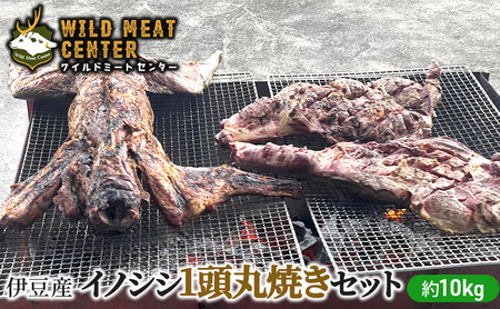 【伊豆産イノシシ肉】イノシシ1頭丸焼きセット猪肉 イノシシ肉 ジビエ 高タンパク 高たんぱく 低カロリー 低脂肪 肉 お肉 山の幸