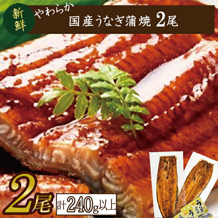 【ふるさと納税】やわらか国内産うなぎ蒲焼満足サイズ！120～140g 2尾　計240g以上|うなぎ 鰻 蒲焼 満足 茨城県 行方市(AD-85-1)