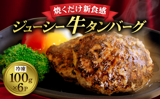 和泉市牛タンバーグ100g×6パック(冷凍)【配送不可地域：離島】【1577215】