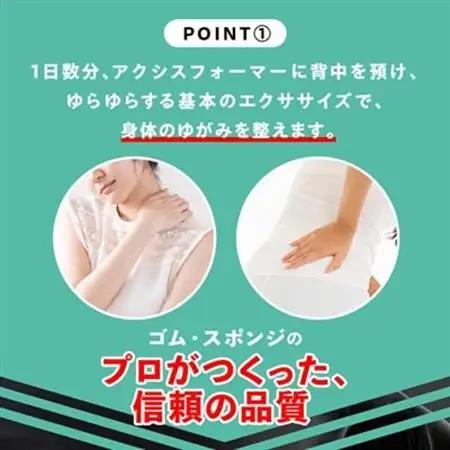 アクシスフォーマー ロングポール (ブラック)_雑貨・日用品  スポーツ・アウトドア用品 _【1035022】