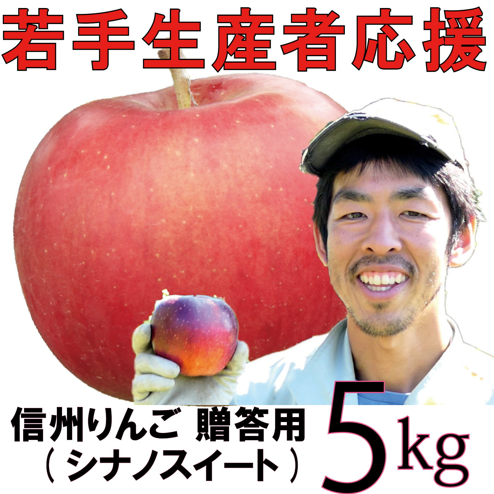 【ふるさと納税】 りんご 5kg 【若手生産者応援】 シナノスイート 川上啓介 贈答用 果物 フルーツ 先行 予約 信州 麻績村