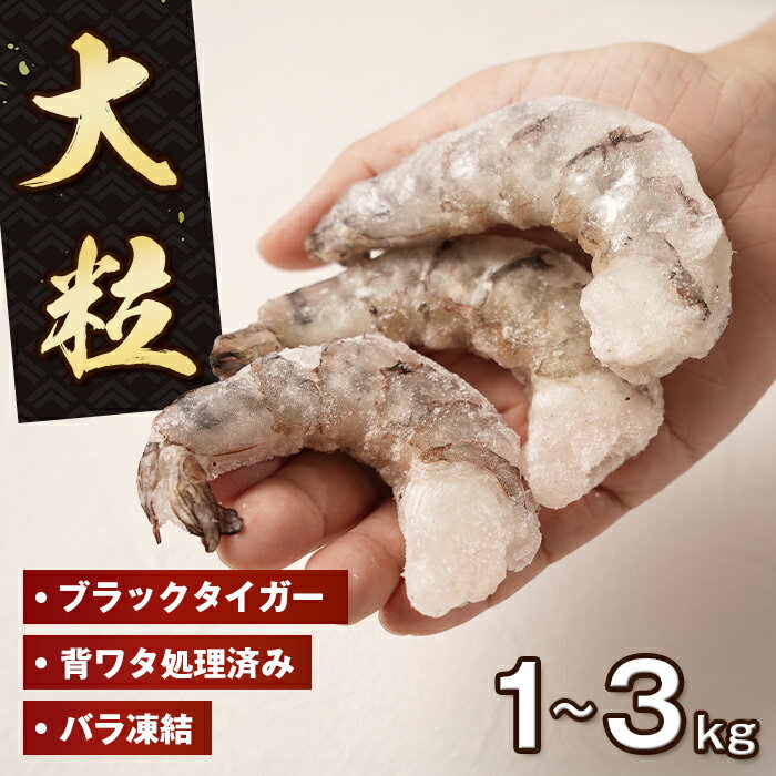 【ふるさと納税】至福の大粒むきえび　背ワタ処理済 1～3kg　　[ムキエビ 大型 むき海老 ブラックタイガー 下処理済み 冷凍 むきエビ エビチリ エビマヨ]