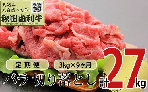 
《定期便》9ヶ月連続 秋田由利牛 バラ切り落とし 3kg（1kg×3パック）
