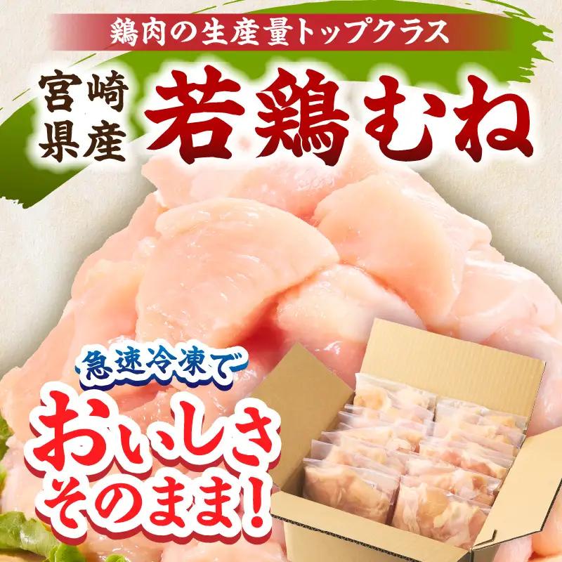 宮崎県産 若鶏切身 むね肉 4.8kg（300g×16袋）【6か月定期便】_b0788_it_x2