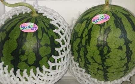 【産地直送】和歌山産小玉すいか「ひとりじめ7(セブン)」2玉入り　3.5kg以上★2024年６月下旬頃より順次発送