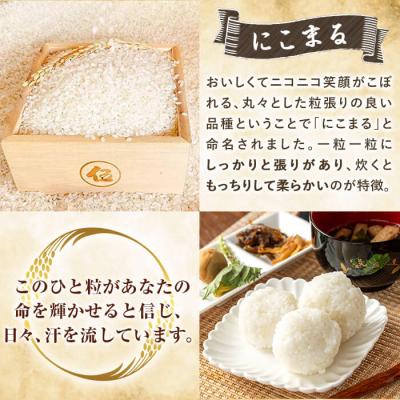 ふるさと納税 霧島市  12回定期《令和7年産新米》てまひま米(品種:にこまる) (計60kg)【末蜜農園】K-198-G |  | 02