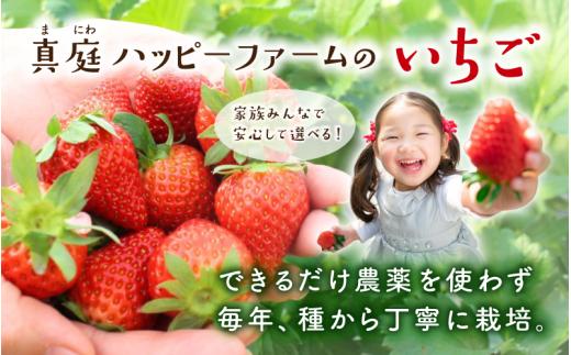 【ご家庭用】 いちご よつぼし すず 品種おまかせ 500g （250g × 2パック） いちご 【hfpr004-01】