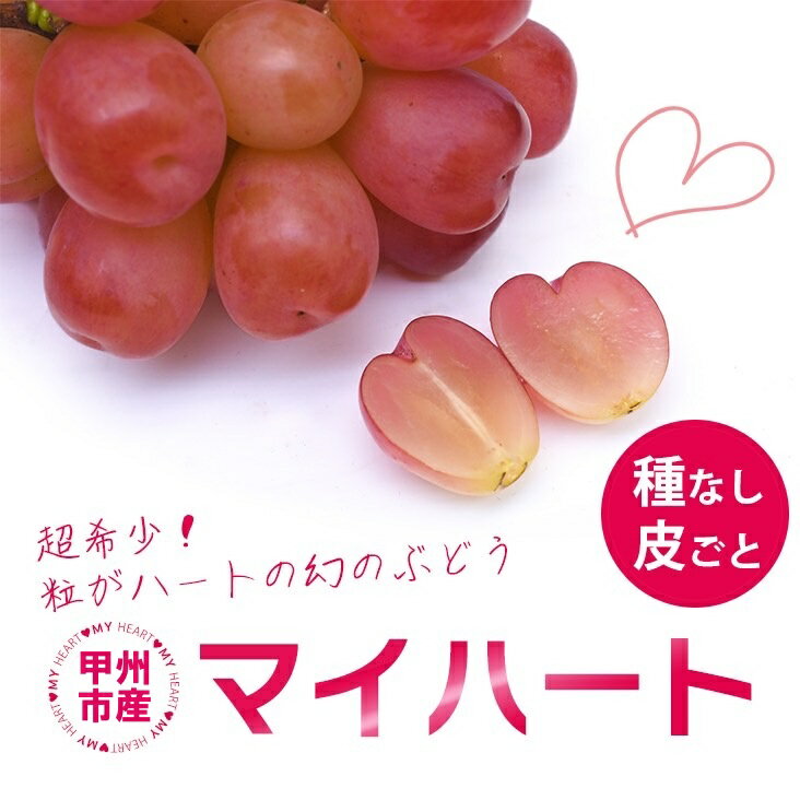 【ふるさと納税】 ぶどう マイハート 1房 500g以上 果物 赤ぶどう 希少品 厳選 甲州市 フルーツ ハート形 かわいい 葡萄 甘い 果実 くだもの 人気 池田青果 数量限定 山梨県 産地直送 期間限定 贈答 ギフト 家庭用 9月 10月 11月 発送 【2025年発送】 （IS） 【B15-457】