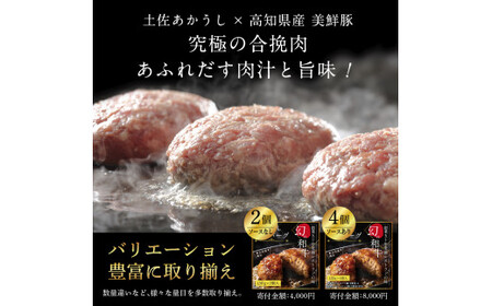 【ふるなびWEEK対象】創業50年老舗レストランの幻の和牛あかうしハンバーグ130g×8ケ 特製ソース2種4袋付 FN-Limited-WE