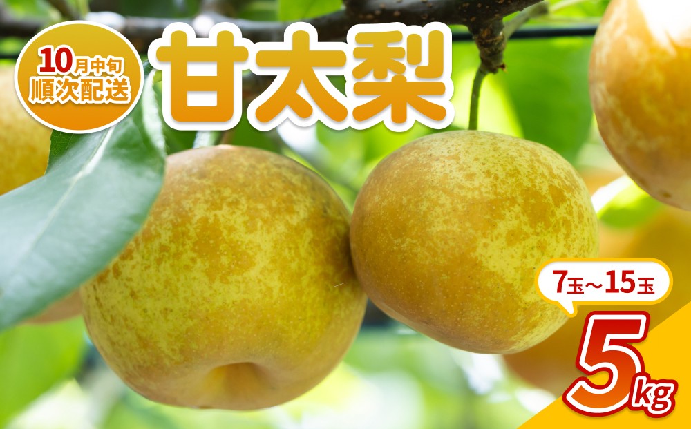 
                  【先行予約】中野農園 梨 ”甘太（かんた）” 5kg箱｜鳥取 岩美 梨 なし ナシ 果物 フルーツ ※お届けは2026年10月中旬～【41087】
                