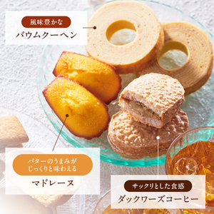 【シャトレーゼ】ガトーアソート13個入  焼き菓子 ベイクドチーズタルト バウムクーヘン ダックワーズ マドレーヌ シャトー・レザン フィナンシェ 詰合せ 13個入 スイーツ アソート 人気 ギフト 
