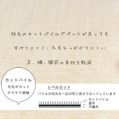ふるさと納税 和泉市 カーペット 日本製 抗菌防臭 犬 猫 ペット ビオラ 261×352cm 江戸間 6畳 アイボリー |  | 01