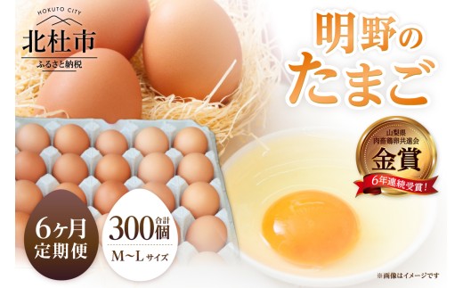 【6ヶ月定期便】金賞受賞 明野のたまご50個　卵 鶏卵 定期便 6ヶ月 M～L サイズ 知事賞 金賞受賞 たまご コク 旨味 濃厚 山梨県 北杜市産 明野 ハイチック