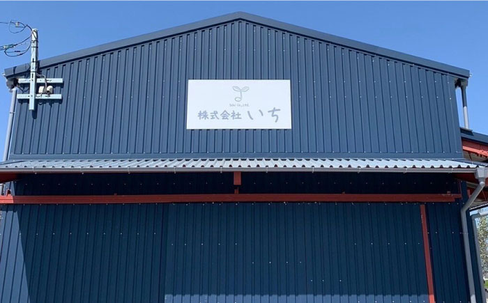 【ごはんがすすむ！】ご飯どろぼう食べ比べセット（甘・辛・激辛各1個）【株式会社いち】 [IDD001]