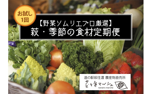 野菜ソムリエプロselect／萩・季節の食材セット　定期便お試し1回コース　｜HG000601