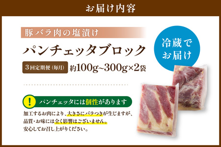 パンチェッタ【約200g×2】定期便毎月3回 ふるさと納税 豚肉 塩漬け ふるさと納税 ベーコン ふるさと納税 パンチェッタ 豚バラ 塩漬け スペイン料理