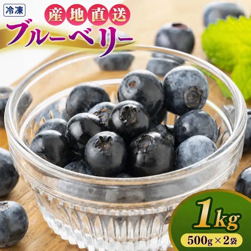 冷凍ブルーベリー 1kg（500g×2袋） | 冷凍便 フルーツ 果物 くだもの ベリー 低農薬 健康 産地直送 健康 おやつ 美容 完熟 こだわり | 奈良県 五條市
