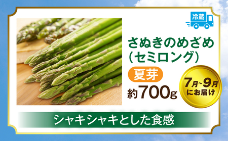 さぬきのめざめ定期便 | 野菜 定期便 アスパラ アスパラガス さぬきのめざめ 料理 柔らかい 濃い 春 夏 シャキシャキ 食感 冷蔵 新鮮 セミロング おすすめ 旬の野菜 季節の野菜 贈答 贈り物 