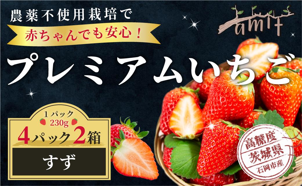 
            農薬を使わず育てた安心安全 イチゴ すず 4パック いちご 苺 ナノバブル水素水使用 農薬不使用 希少 国産 果物 フルーツ くだもの 冬 旬 産地直送 農家直送 産直 甘い デザート スイーツ 家庭用 贈答 贈答用 茨城 茨城県 石岡市 (A14-003)
          