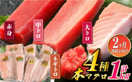 【全2回定期便】対馬産 本マグロ 4種 計1kg（赤身/中トロ/大トロ/ネギトロ） 《対馬市》【対海】 新鮮 マグロ 鮪 本鮪 赤身 中トロ 大トロ ネギトロ 海鮮 冷凍 [WAH030]