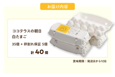 ココテラスの朝日（白たまご）35個 + 5個保証（計40個）【JGAP認証】 農家直送 新鮮 卵 タマゴ 白卵 玉子 鶏卵 朝食 夕食 夜食 朝ごはん たまご焼き だし巻き卵 オムレツ 卵ご飯 料理 