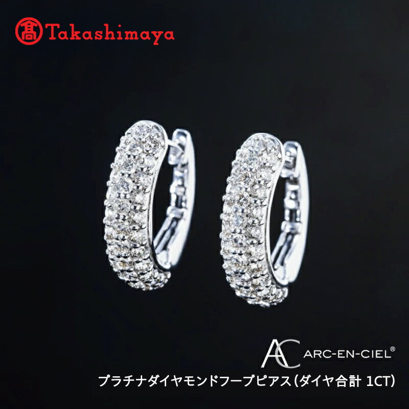 【ふるさと納税】【8/1～価格改定】【高島屋選定品】プラチナダイヤモンドフープピアス（ダイヤ合計 1ct）65N0086