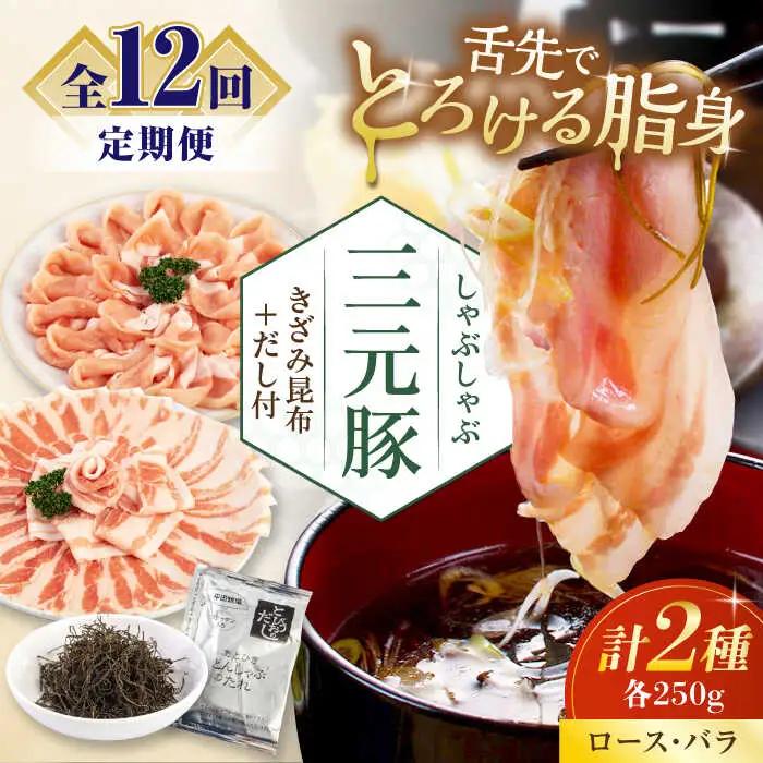 【全12回定期便】 しゃぶしゃぶ セット 500g しゃぶしゃぶ 定期便 AJAP017