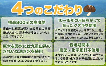 原木乾燥しいたけ 小・中玉 200g|しいたけのさかい