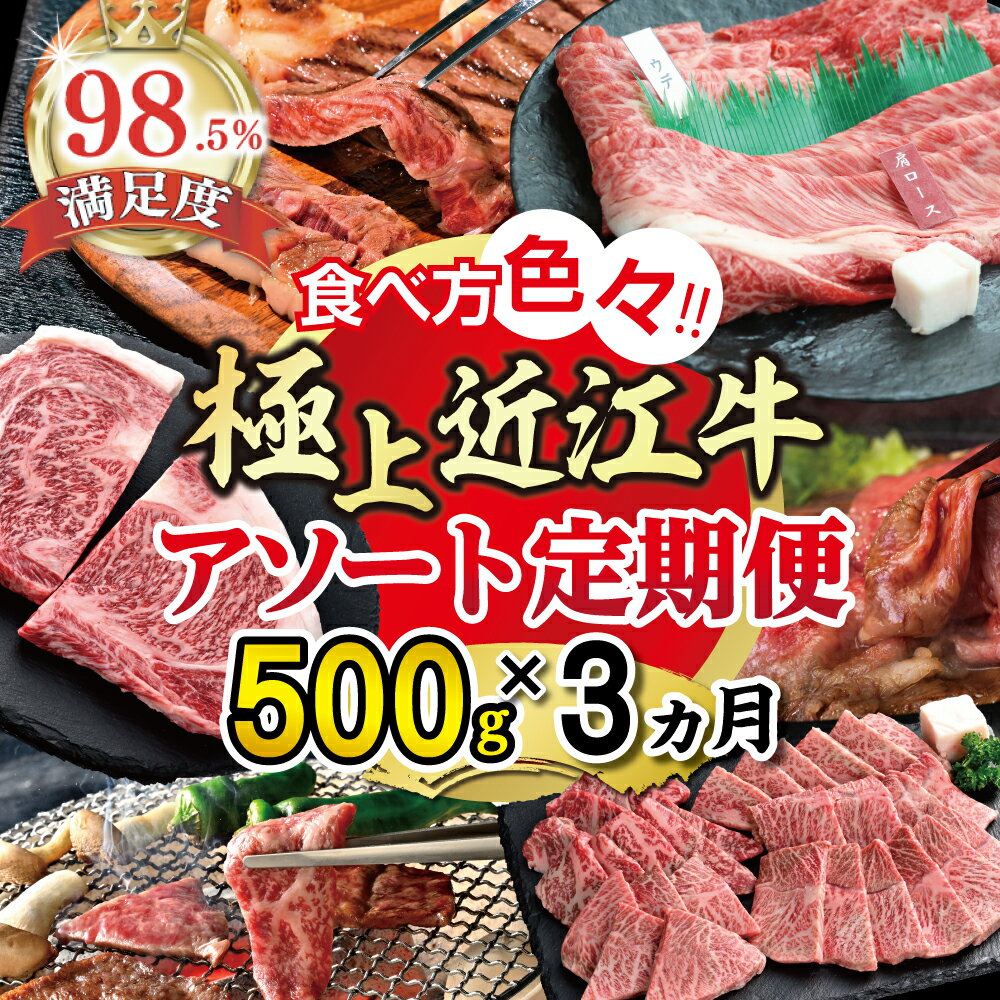 【ふるさと納税】【期間限定】極上近江牛500g　食べ方色々！アソート定期便 国産 牛肉 近江牛 ブランド牛 日本三大和牛 リブロース カルビ 霜降り バラ モモ 肩ロース ウデ ステーキ / 焼肉 / すき焼き 食べ比べ